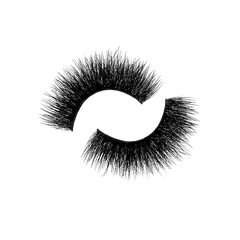 GB133 - GB Beats Store